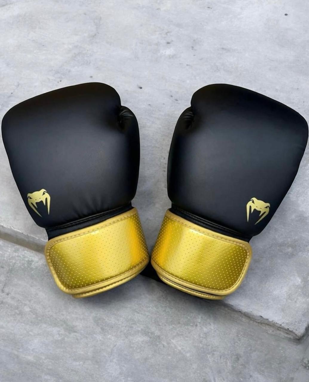 Venum Boxing Gloves – Black/Gold